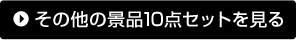 その他の景品10点セットを見る