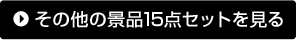 その他の景品15点セットを見る