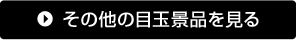 その他の目玉景品を見る