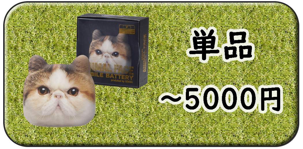 5000円以内の単品景品