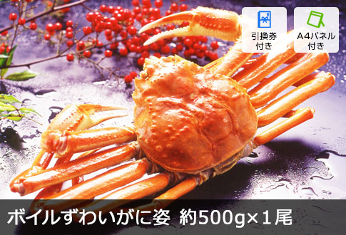 ボイルずわいがに姿 500g