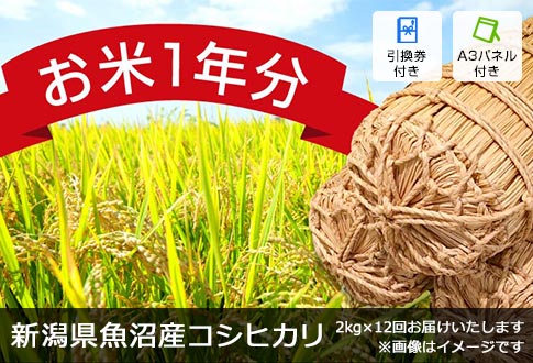 y1NzVYRVqJi2kg~12񂨓͂j