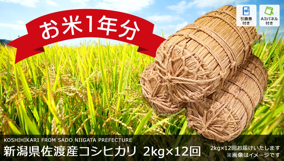 【お米1年分】新潟県佐渡産コシヒカリ（2kg×12回お届け）
