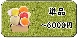 ～６０００円の価格から選ぶ