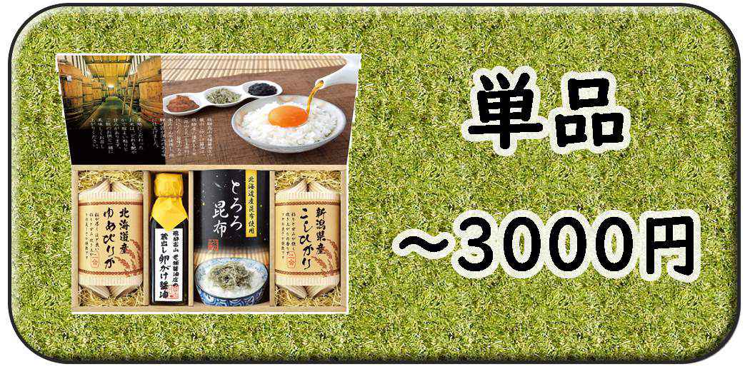 ～３０００円の価格から選ぶ